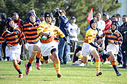 �}���u���O�r�[�N���u�@�W���j�A�X�N�[��